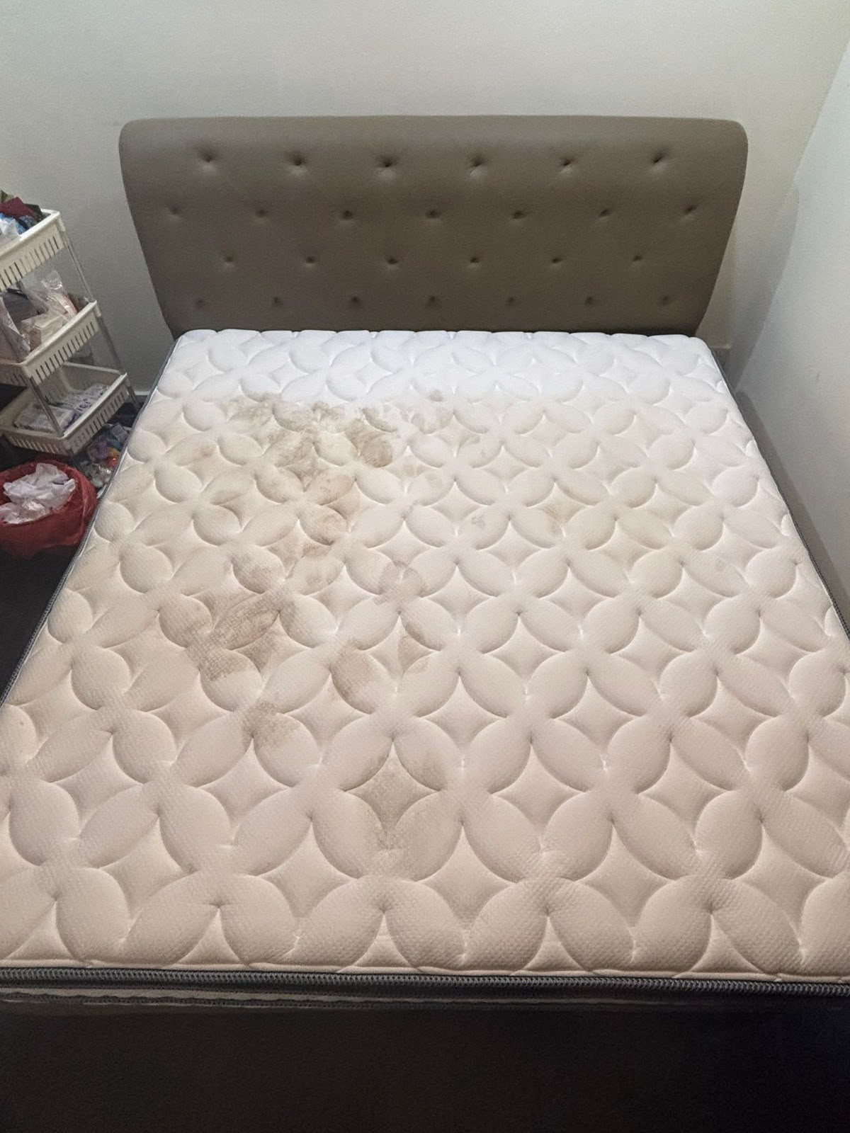 Upholstery - 2
